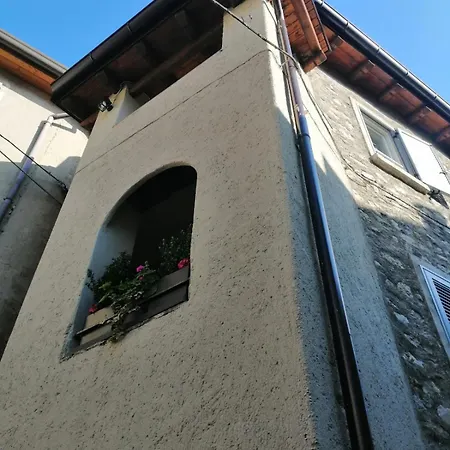 Casa Amelia נסו